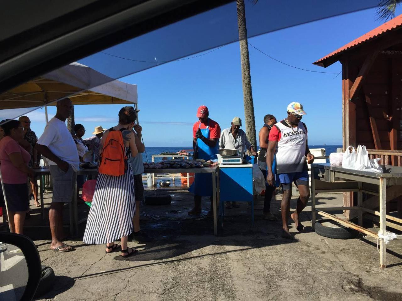 Apartmán T2 Tropical En Bord De Piscine A 100M De La Mer Le Carbet Exteriér fotografie